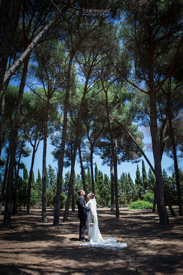 FOTOYMAGEN-Boda-Mariluz-y-Gonzalo-AmigosEspeciales-Familia-Especial-El-Pinar-de-Manabran-Campo-de-trigo-Boda-Original-Marchena-(6)