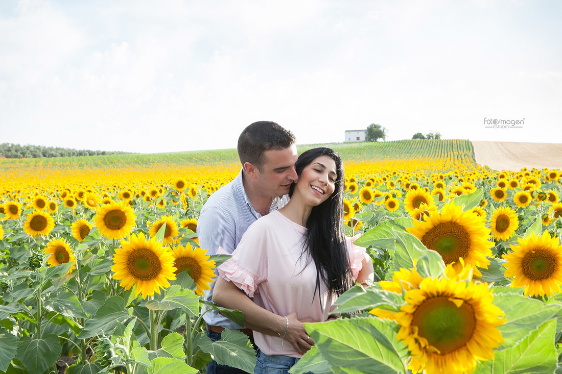 FOTOYMAGEN-PreBoda-Belen-y-Adri-Campo-de-trigo-Girasoles-Sevilla-Marchena-Campina-Sevillana-FotosNaturales-(0A)