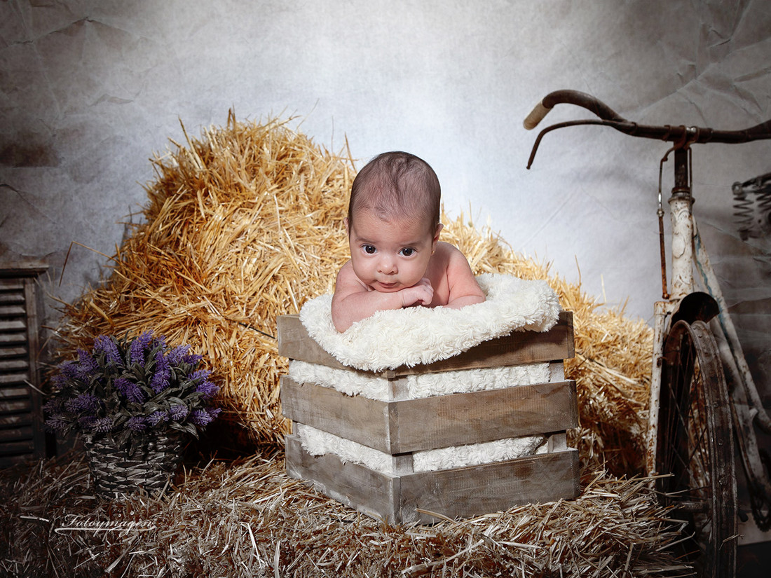 Fotoymagen-Triana-RegalaNavidad--Vintage-New-DulcesSueños-IlusiondeNavidad-FotosNavideñas-(4)